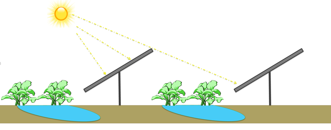 Researchers conducting measurements in an agrivoltaic field at Biosphere 2