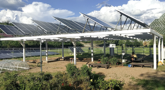 Placeholder image of the Biosphere 2 research plot