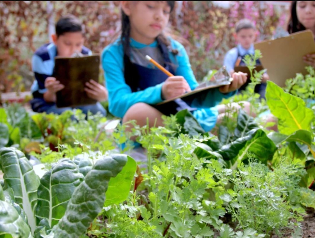 Students writing on clipboards while observing plants in a lush school garden