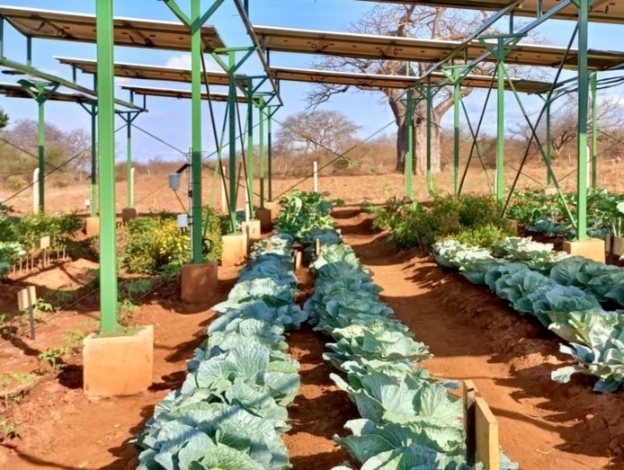 Community agrivoltaics project in Makueni County, Kenya
