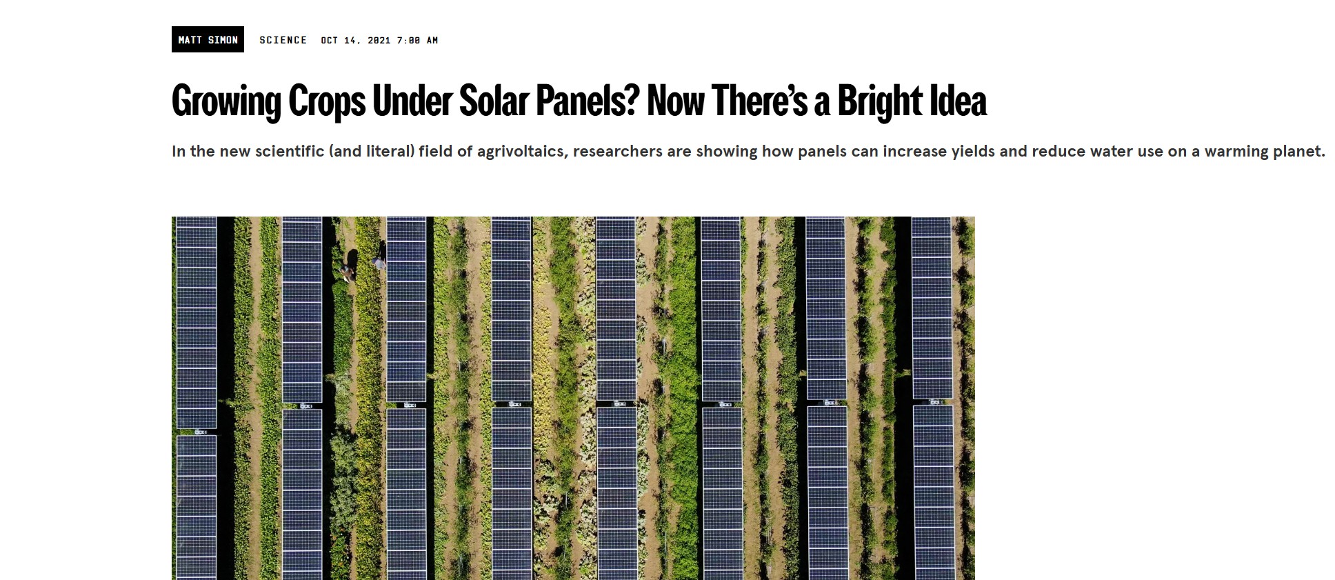 Preview of Growing Crops Under Solar Panels? Now There’s a Bright Idea