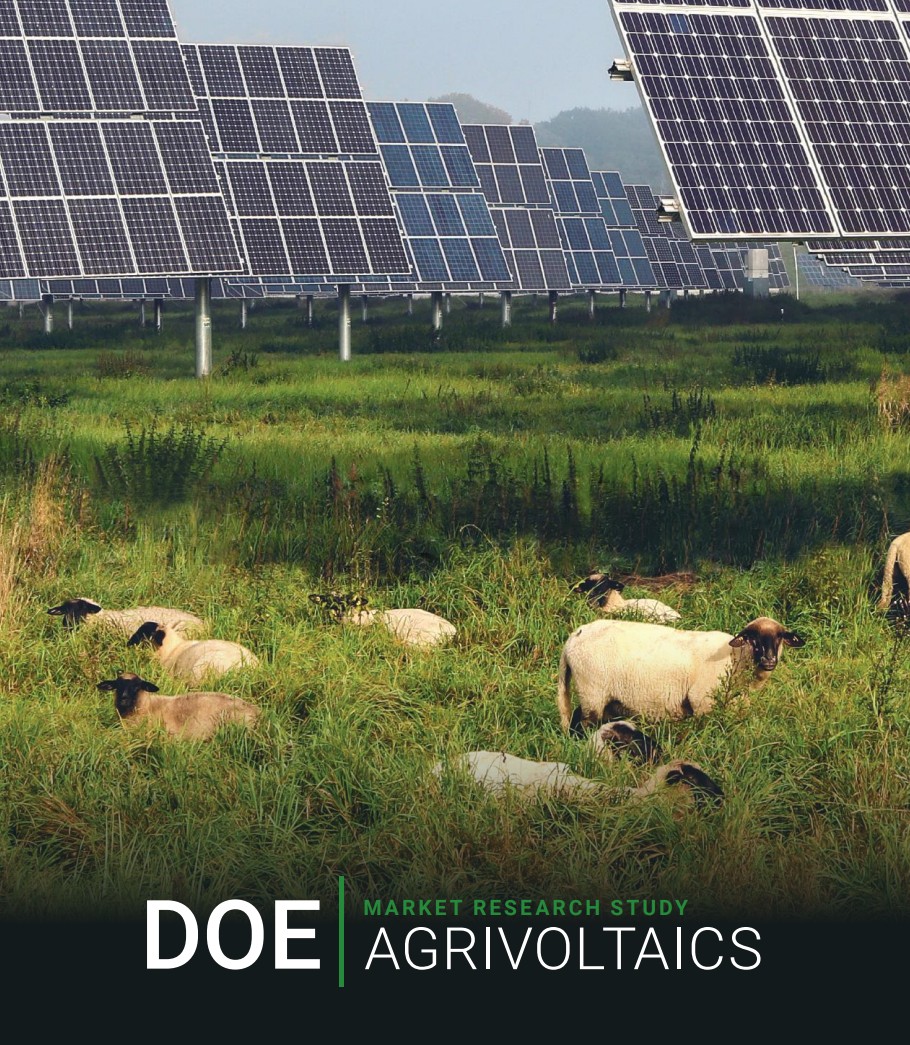 Preview of DOE SBIR Market-Research Study: Agrivoltaics