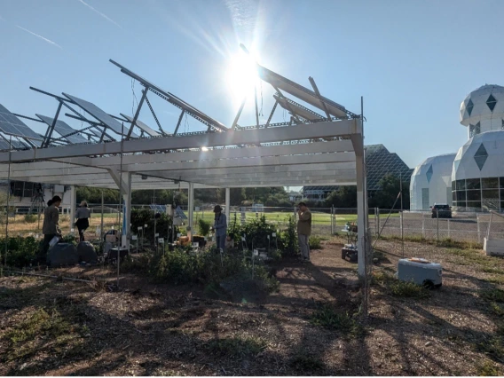 Preview of Exploring Crop Nutrients in Agrivoltaic Systems