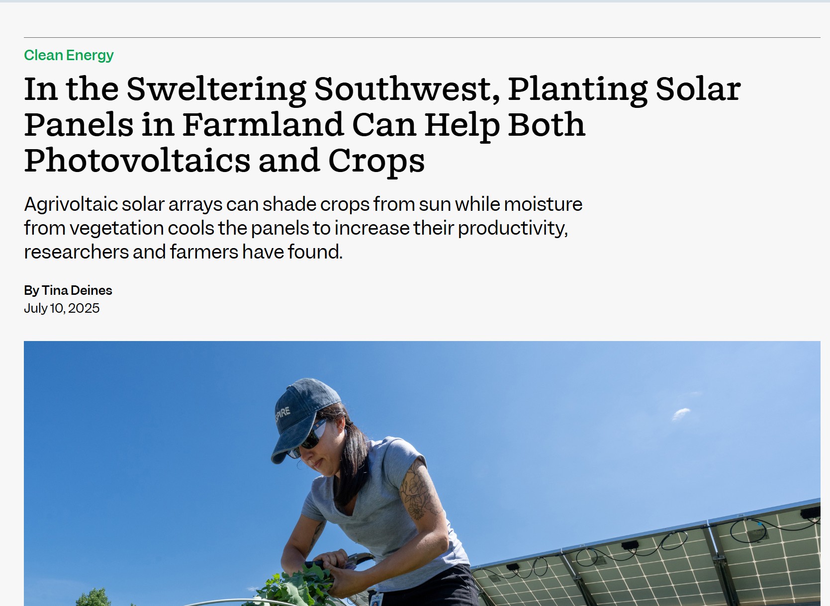 Preview of Sweltering Southwest agrivoltaics