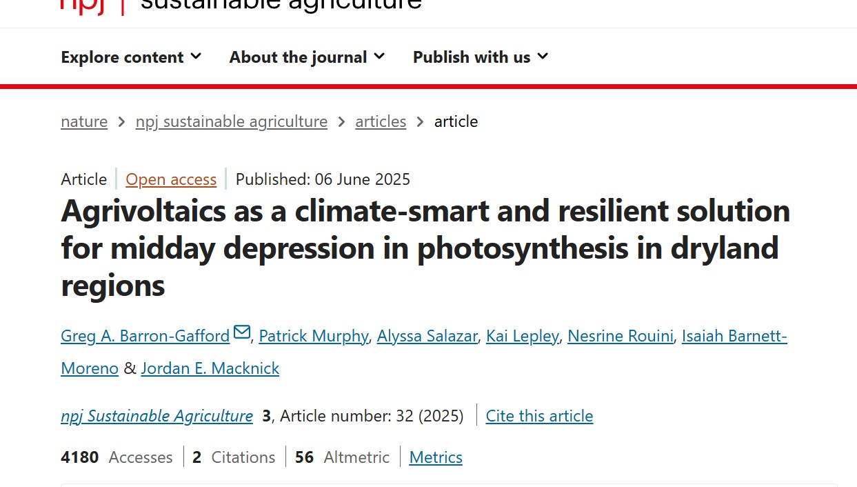 Placeholder image for a drylands photosynthesis publication