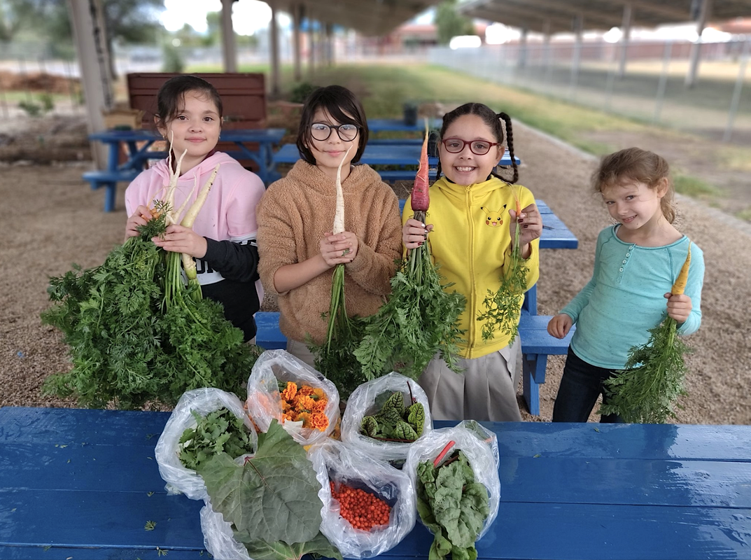 Children proudly showing vegetables harvested from a school garden